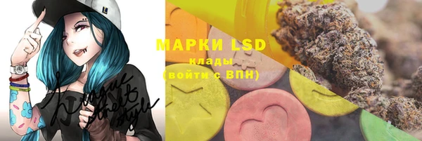 ECSTASY Няндома