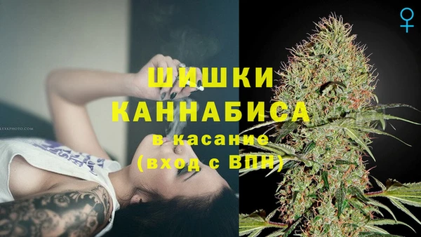 apvp Великий Новгород
