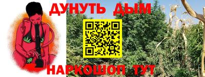 стафф Заволжье