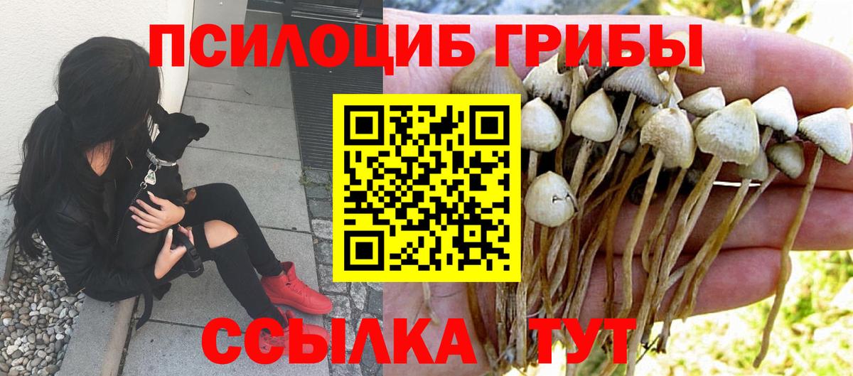 Псилоцибиновые грибы Magic Shrooms Камышин