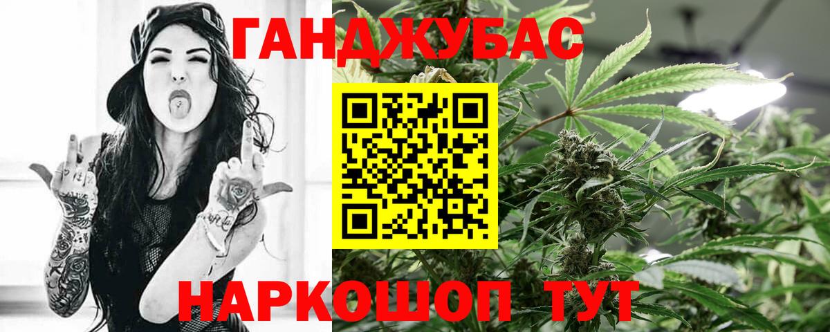 Канабис план Камышин