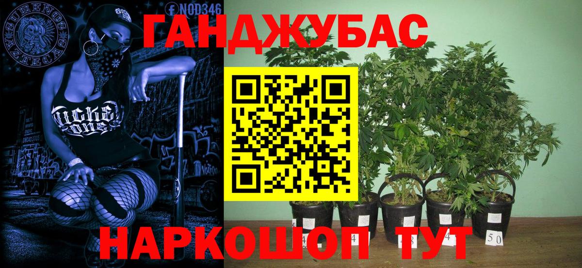 Марихуана AK-47  Бошки Шишки SATIVA & INDICA  Камышин 